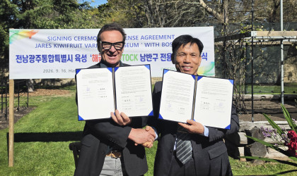 전남광주농기원, 골드키위 ‘해금’ 남반구 시장 진출 본격화